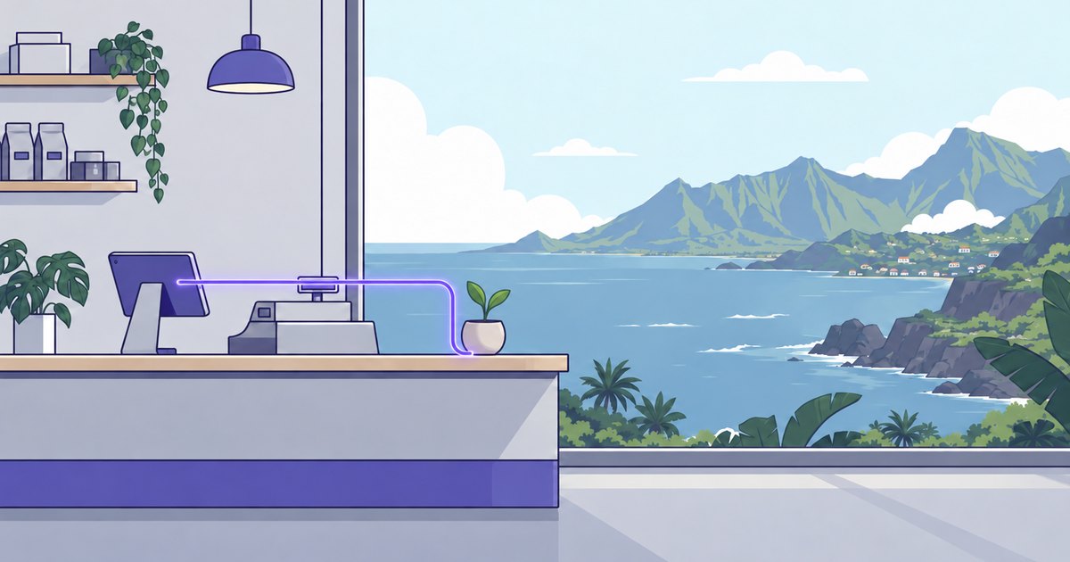 Financer un projet IA quand on est une TPE à La Réunion (2026)